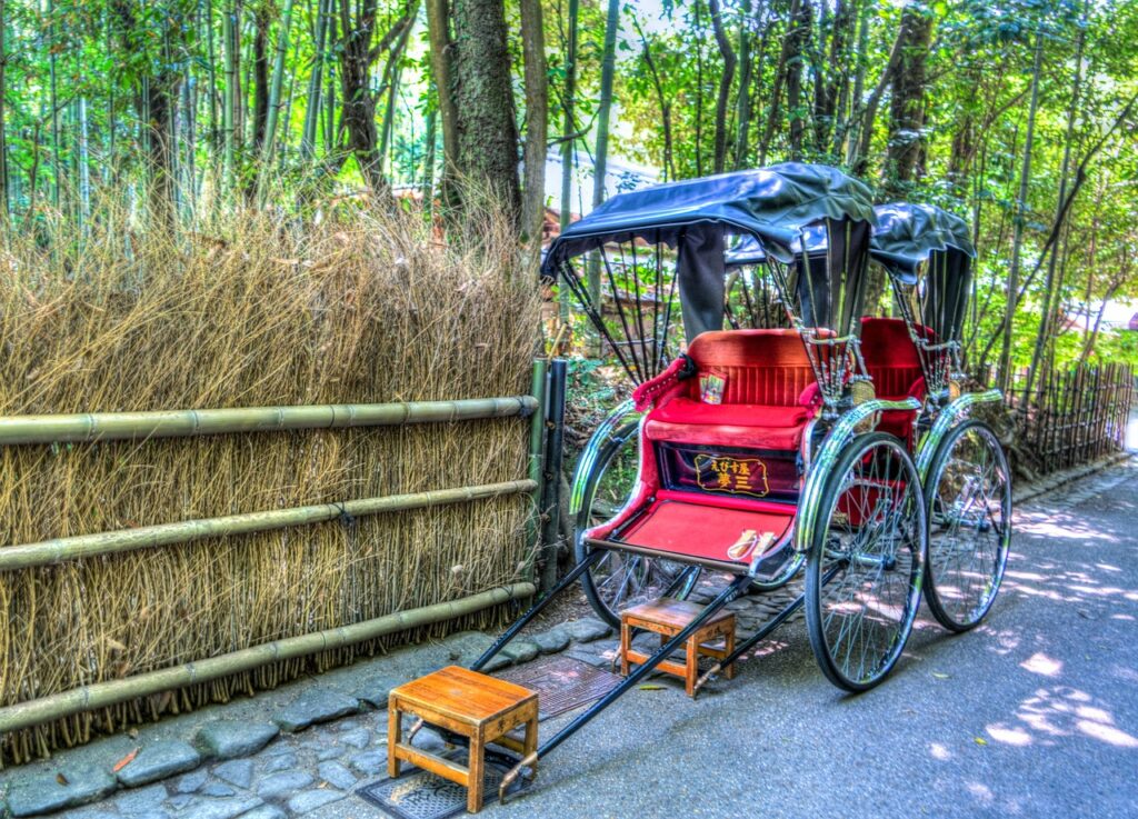 japan, arashiyama, bamboo forest