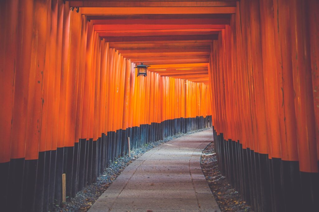 shinto shrine gates, torii tunnel, path